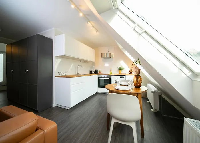 公寓 Favorite -suite And - Altstadt *